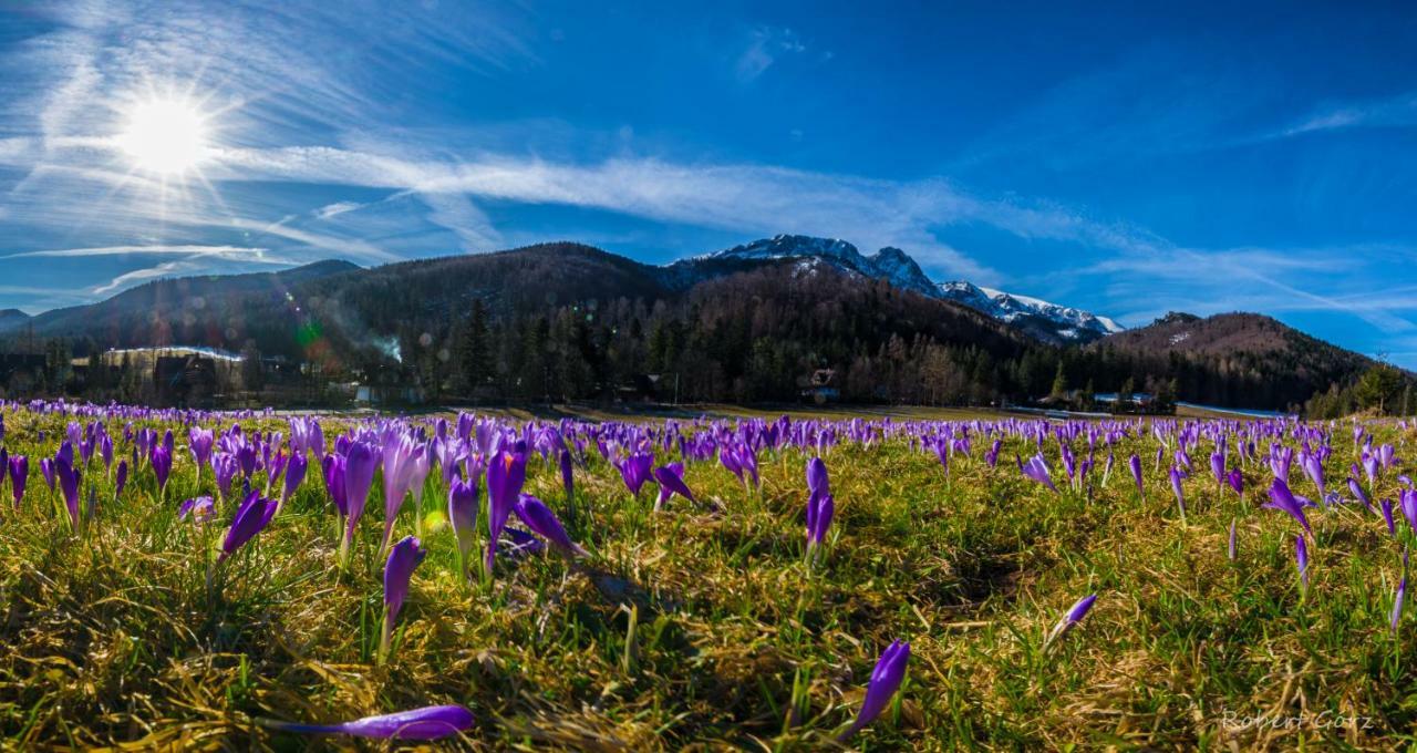 Regionalny Domek Pod Skocznia Zakopane Exterior foto